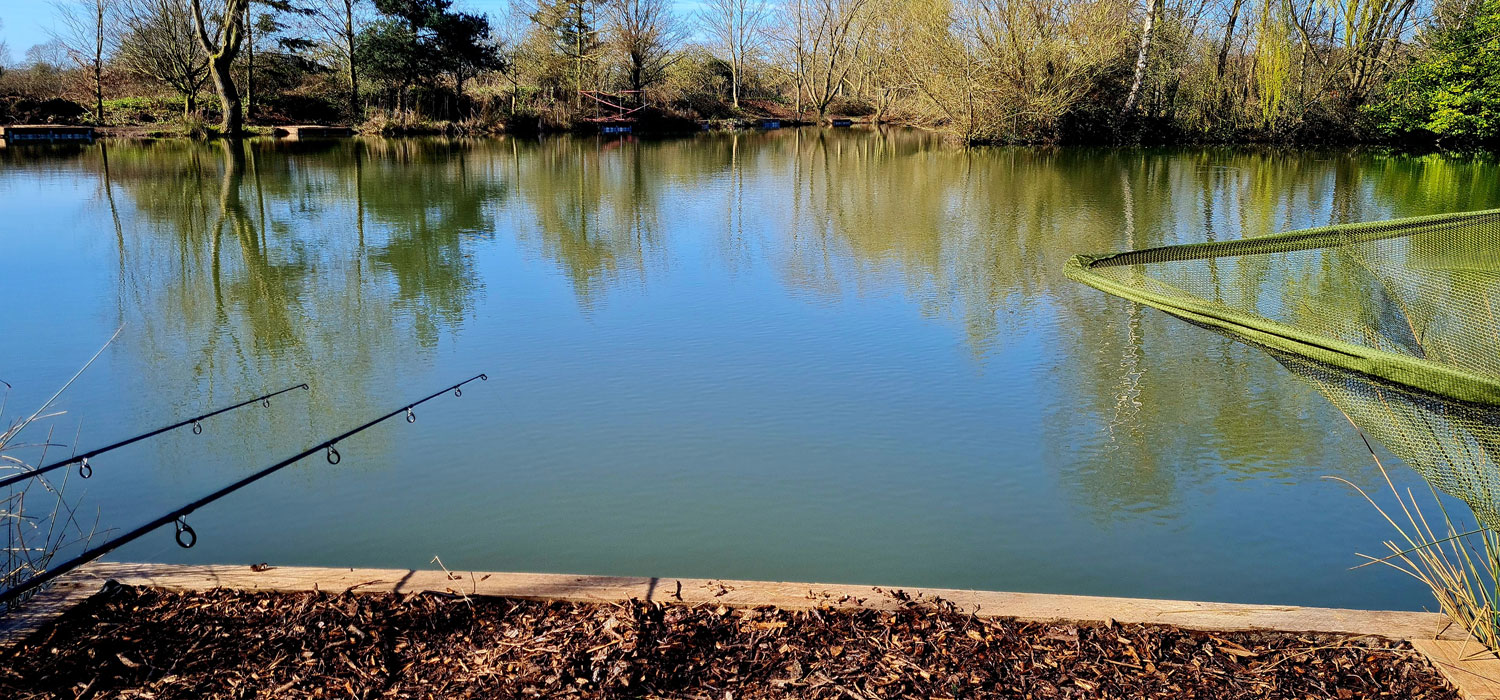 Fishing Rods Set up on Lake